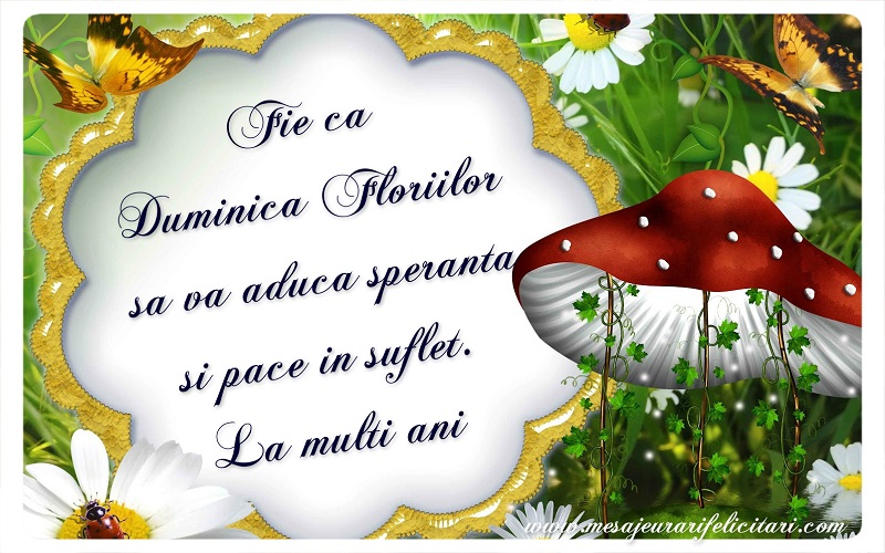 Fie ca Duminica Floriilor sa va aduca speranta si pace in suflet. La multi ani
