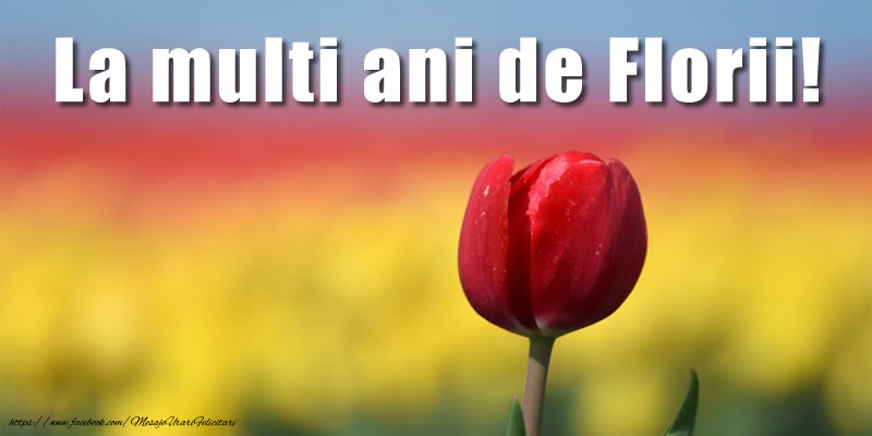 La Multi Ani de Florii!
