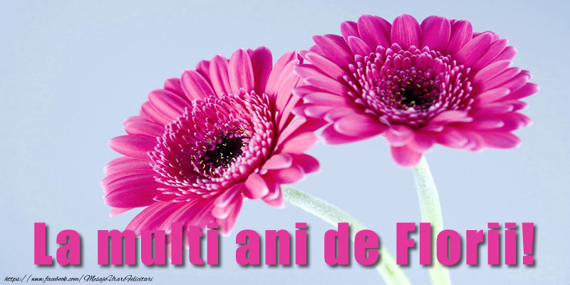 La multi ani de Florii!