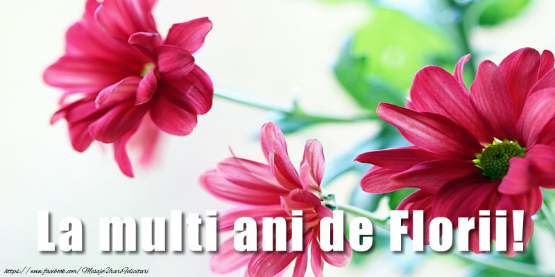 La multi ani de Florii!