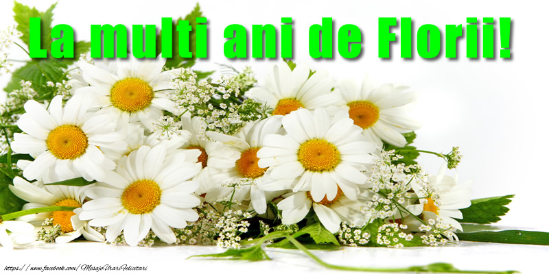 La multi ani de Florii!