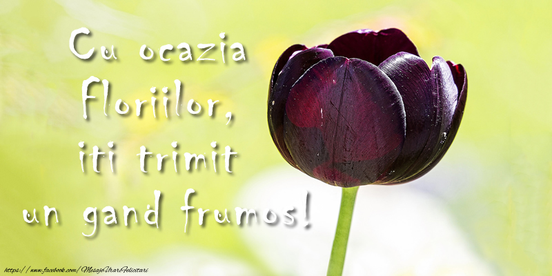 Cu ocazia Floriilor, iti trimit un gand frumos!