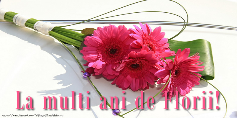 La multi ani de Florii!