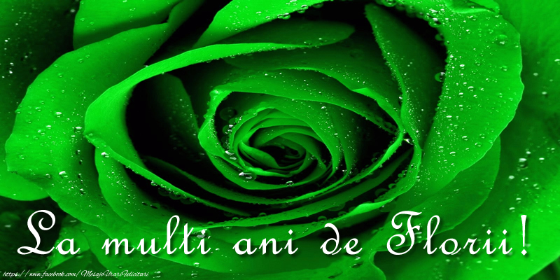 La multi ani de Florii!