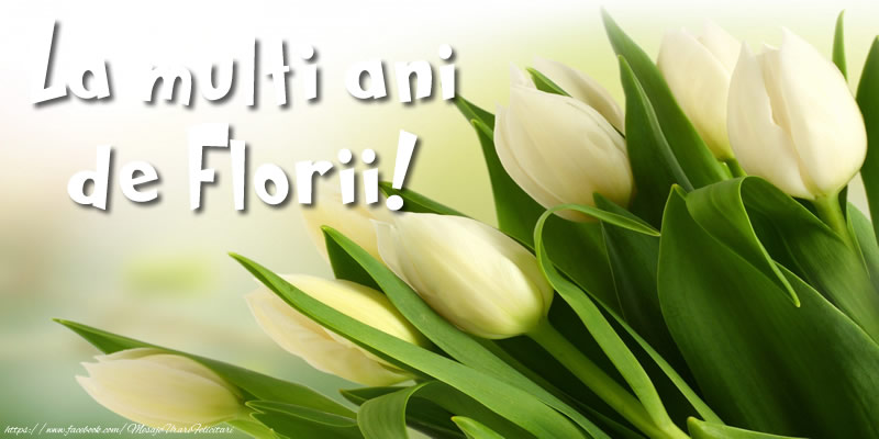 La multi ani de Florii!
