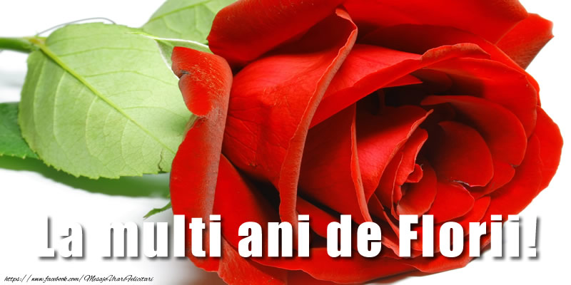 La multi ani de Florii!