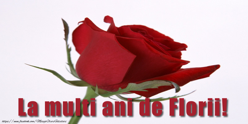 La multi ani de Florii!