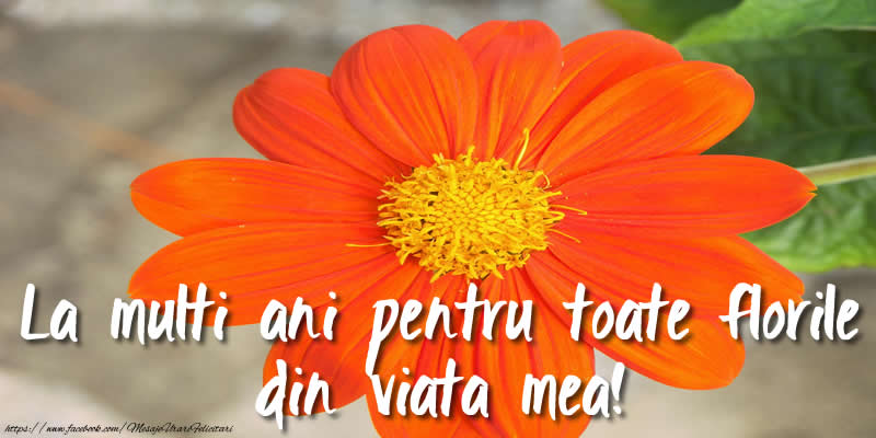 La multi ani pentru toate florile din viata mea!