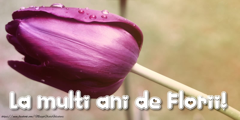La multi ani de Florii!