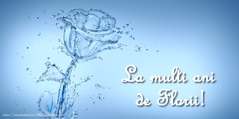 La multi ani de Florii!