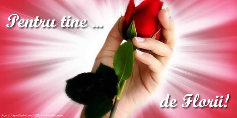 Pentru tine ... de Florii!
