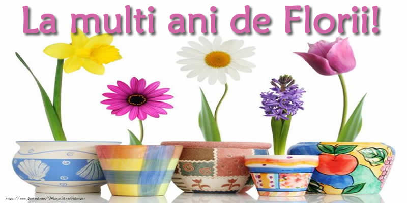 La multi ani de Florii!