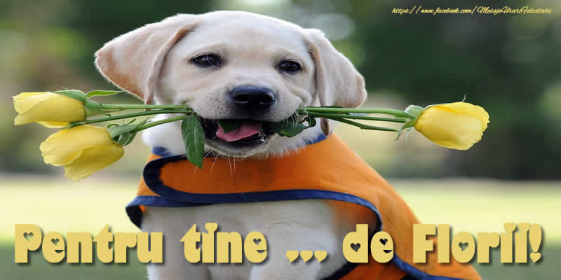 Pentru tine ... de Florii!