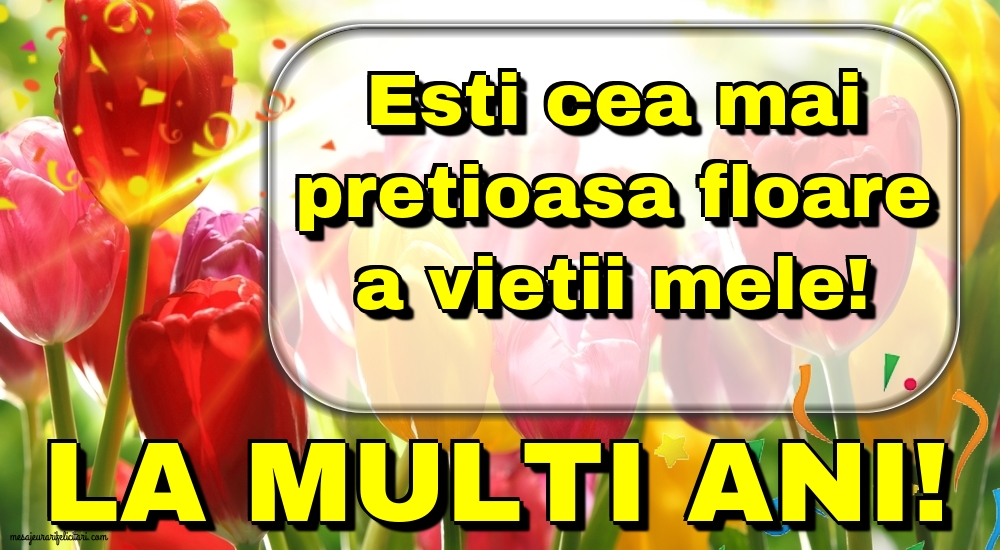 La Multi Ani!