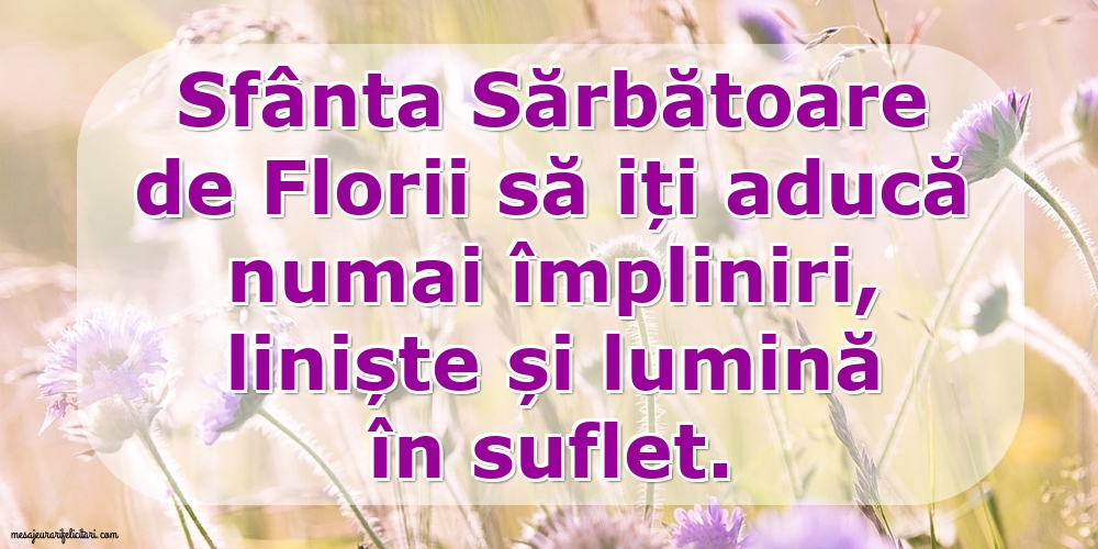 Sfânta Sărbătoare de Florii