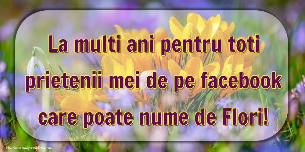 La multi ani pentru toti prietenii mei de pe facebook care poate nume de Flori!