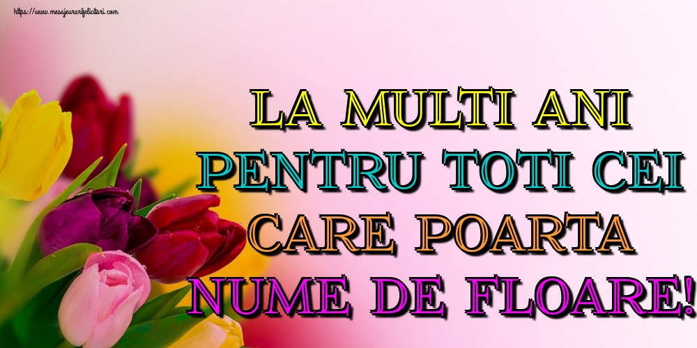 La multi ani pentru toti cei care poarta nume de floare!
