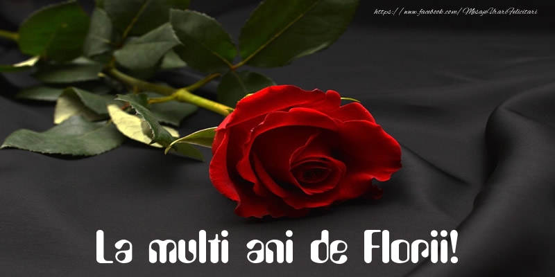 La multi ani de Florii!