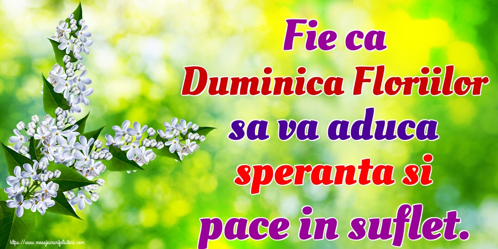 Fie ca Duminica Floriilor sa va aduca speranta si pace in suflet.
