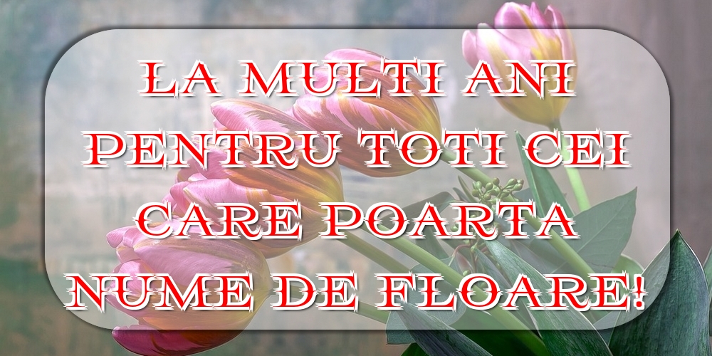 La multi ani pentru toti cei care poarta nume de floare!