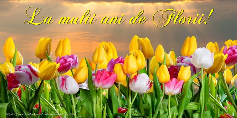 La multi ani de Florii!