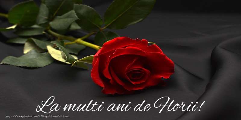 La multi ani de Florii!