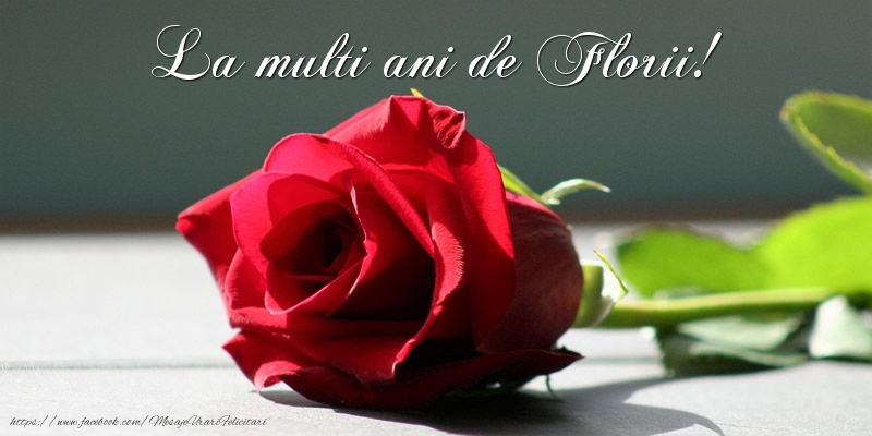 La multi ani de Florii!