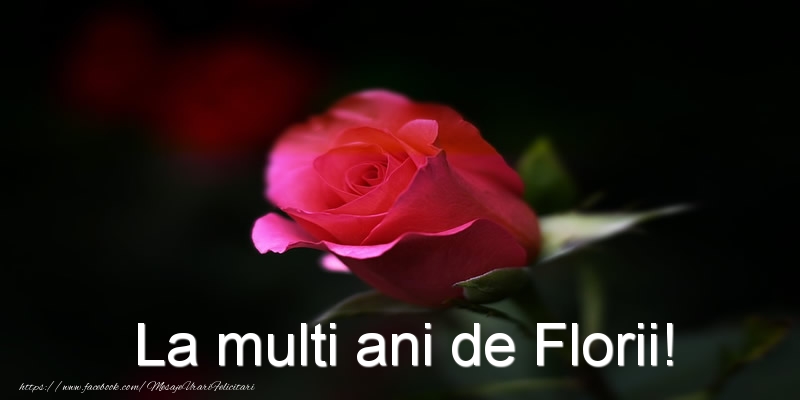 La multi ani de Florii!