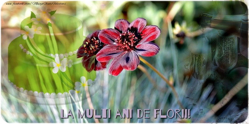 La multi ani de Florii!