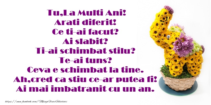 Tu,La Multi Ani! Arati diferit! Ce ti-ai facut? Ai slabit? Ti-ai schimbat stilu? Te-ai tuns? Ceva e schimbat la tine. Ah,cred ca stiu ce-ar putea fi! Ai mai imbatranit cu un an.