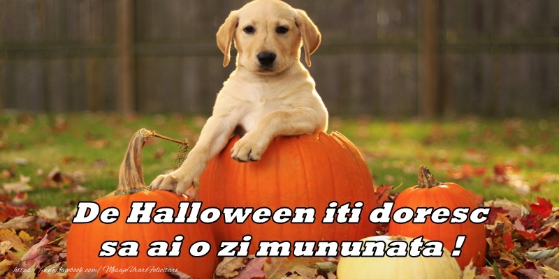 Felicitari de Halloween - De Halloween iti doresc sa ai o zi minunata! - mesajeurarifelicitari.com