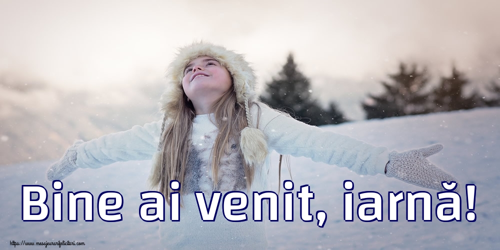 Bine ai venit, iarnă!