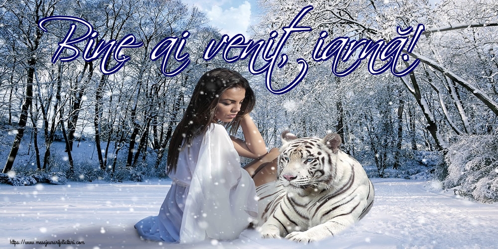 Bine ai venit, iarnă!