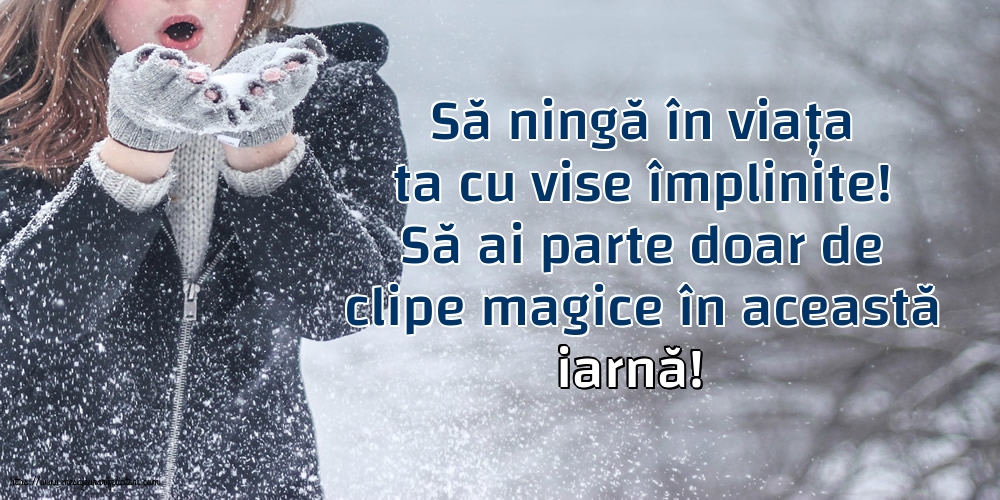 Iarnă Să ningă în viața ta cu vise împlinite!