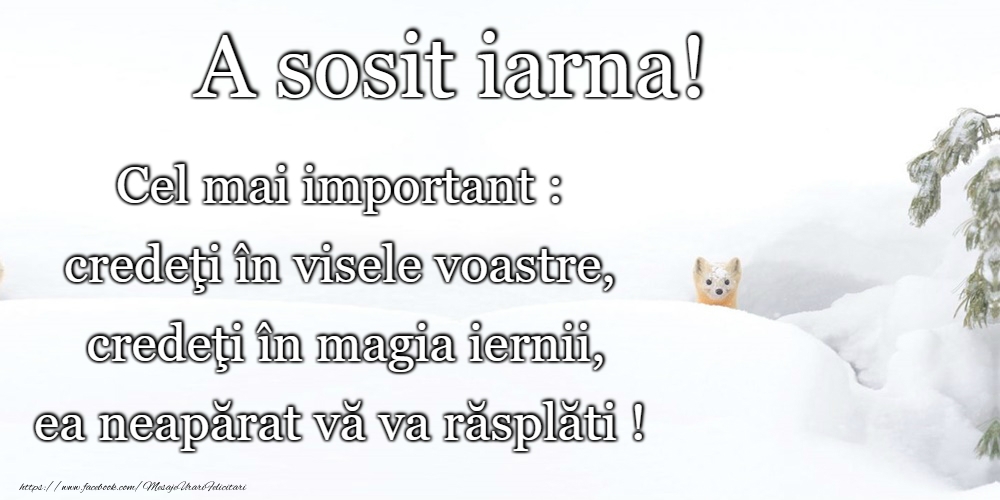 Bine ai venit, iarnă!