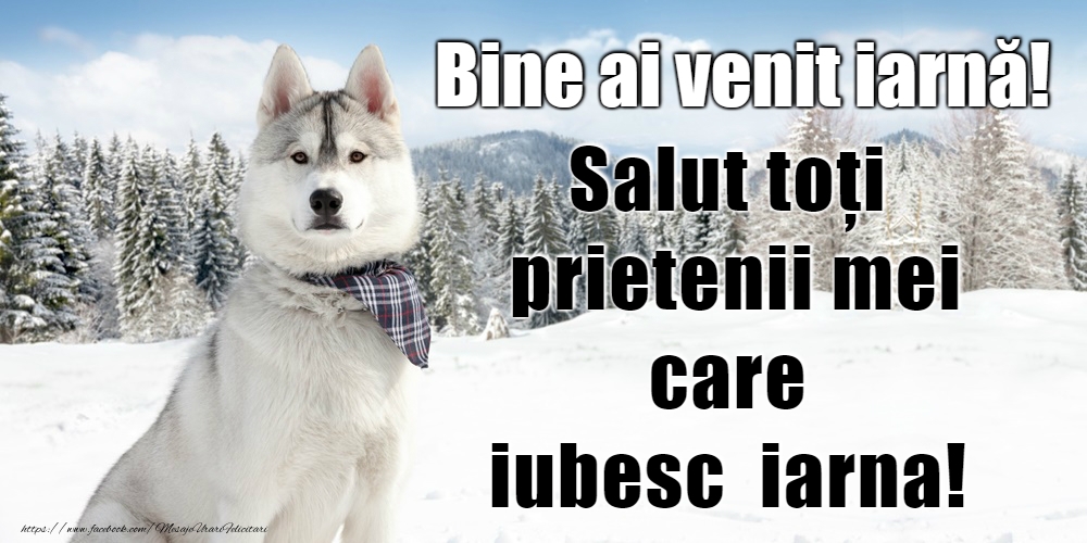 Bine ai venit, iarnă!
