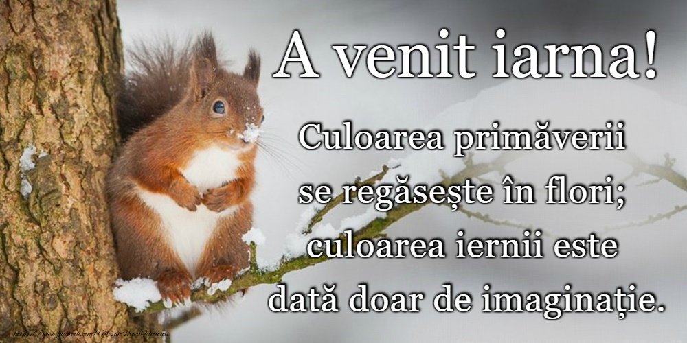 Bine ai venit, iarnă!