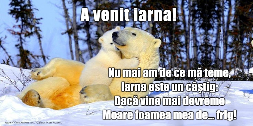 Bine ai venit, iarnă!