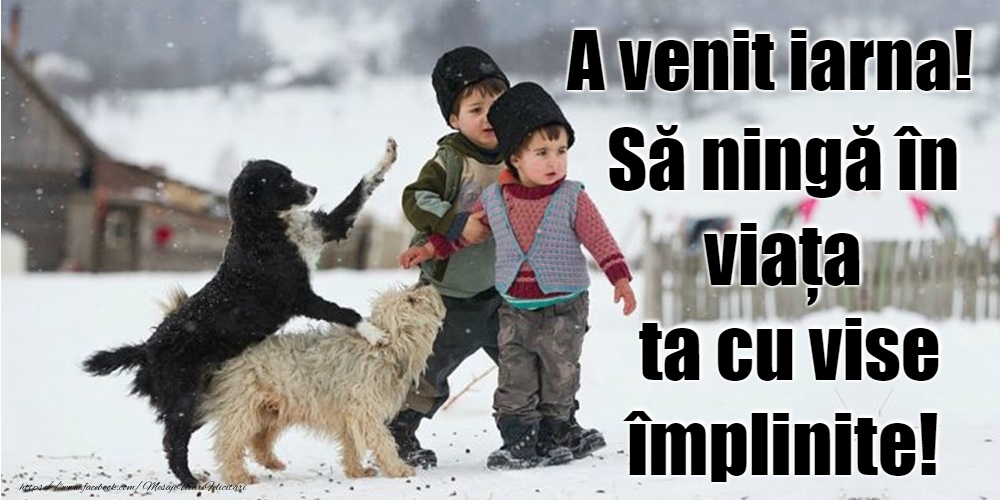 Bine ai venit, iarnă!