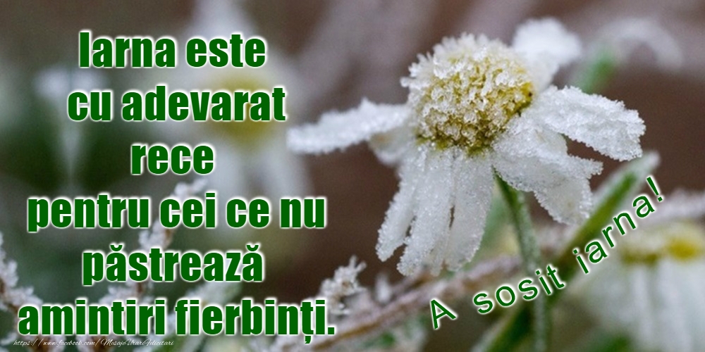 Bine ai venit, iarnă!