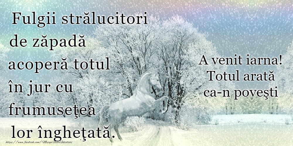 Bine ai venit, iarnă!