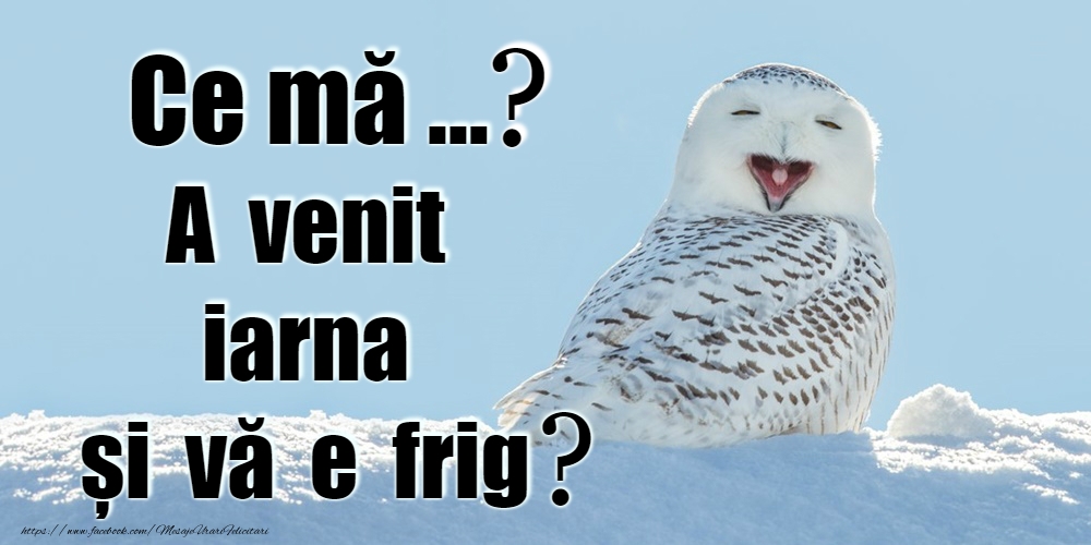 Bine ai venit, iarnă!