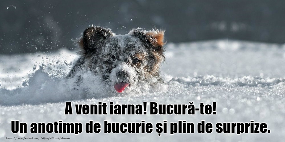 Bine ai venit, iarnă!