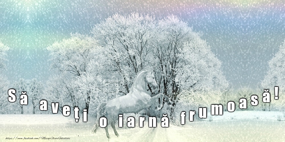 Bine ai venit, iarnă!