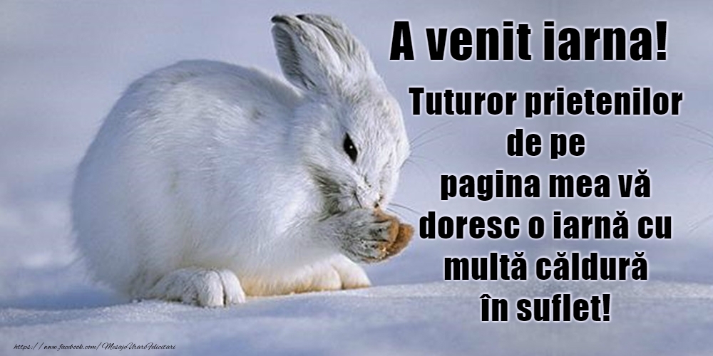 Bine ai venit, iarnă!