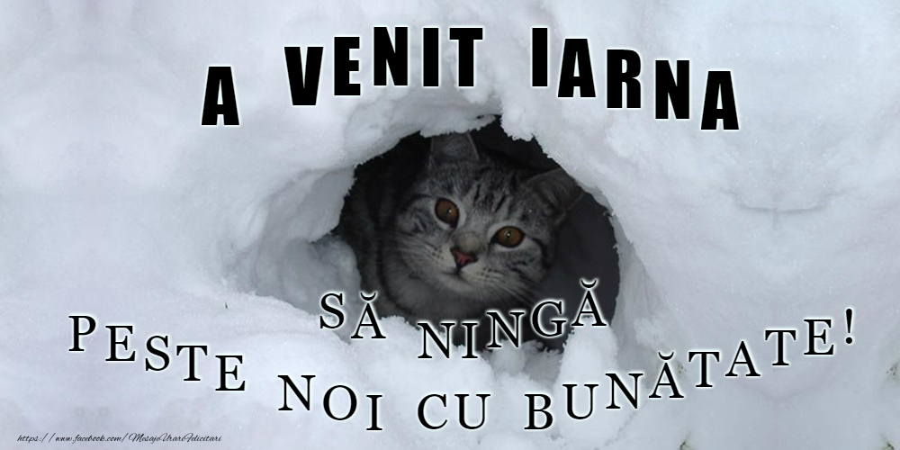 Bine ai venit, iarnă!