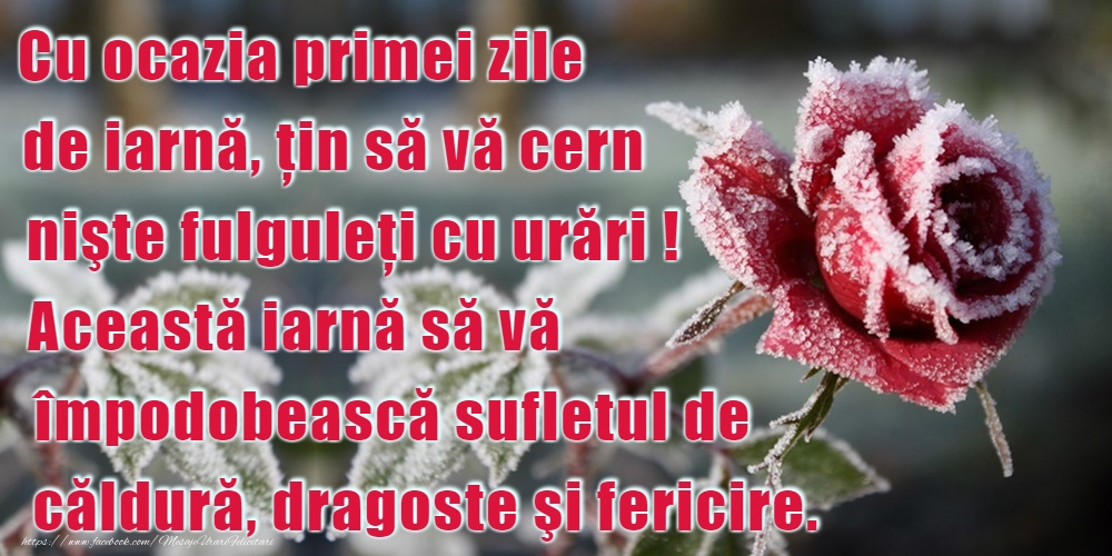 Bine ai venit, iarnă!