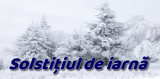 Mesaje Felicitari personalizate de Iarnă