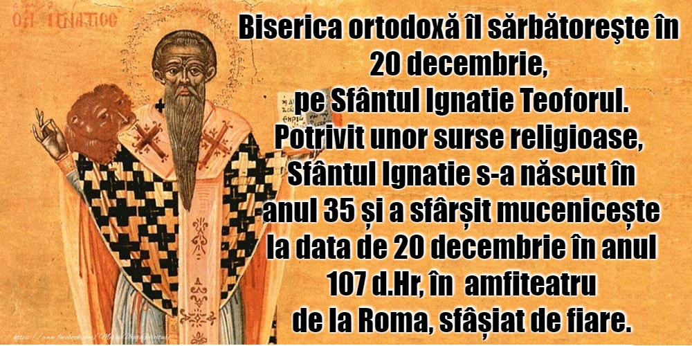 20 Decembrie - Sfântul Ignatie Teoforul