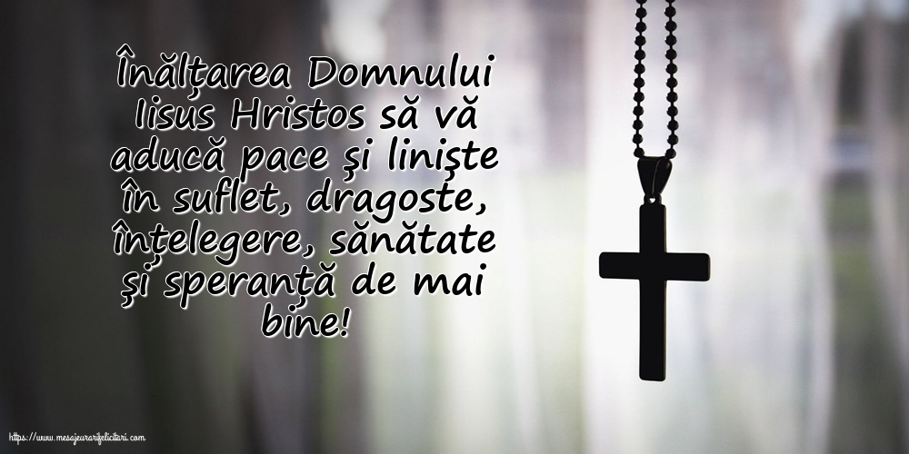 Înălțarea Domnului Iisus Hristos să vă aducă pace și liniște în suflet!